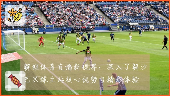 解锁体育直播新视界，深入了解沙巴买球主站核心优势与精彩体验