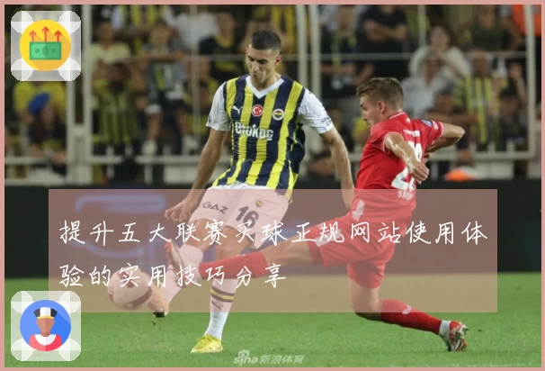 提升五大联赛买球正规网站使用体验的实用技巧分享