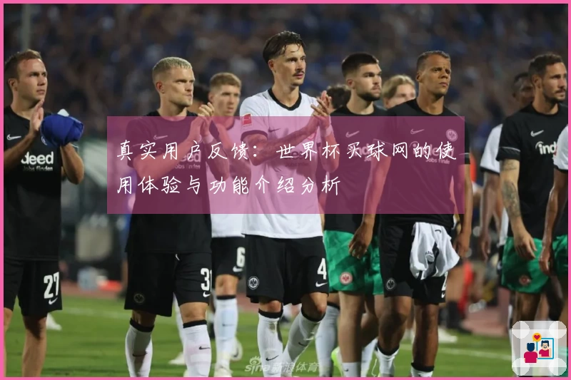 真实用户反馈：世界杯买球网的使用体验与功能介绍分析