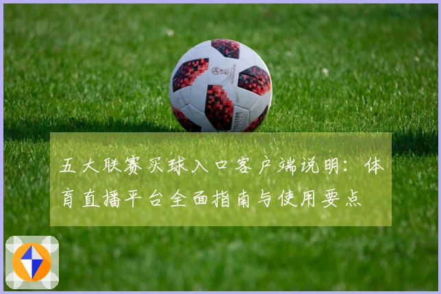 五大联赛买球入口客户端说明：体育直播平台全面指南与使用要点